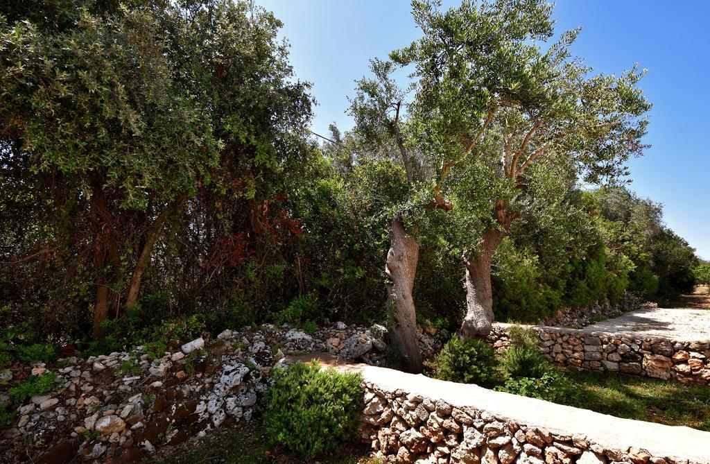 Maison d'hôtes Masseria Pitanni à Gallipoli Extérieur photo